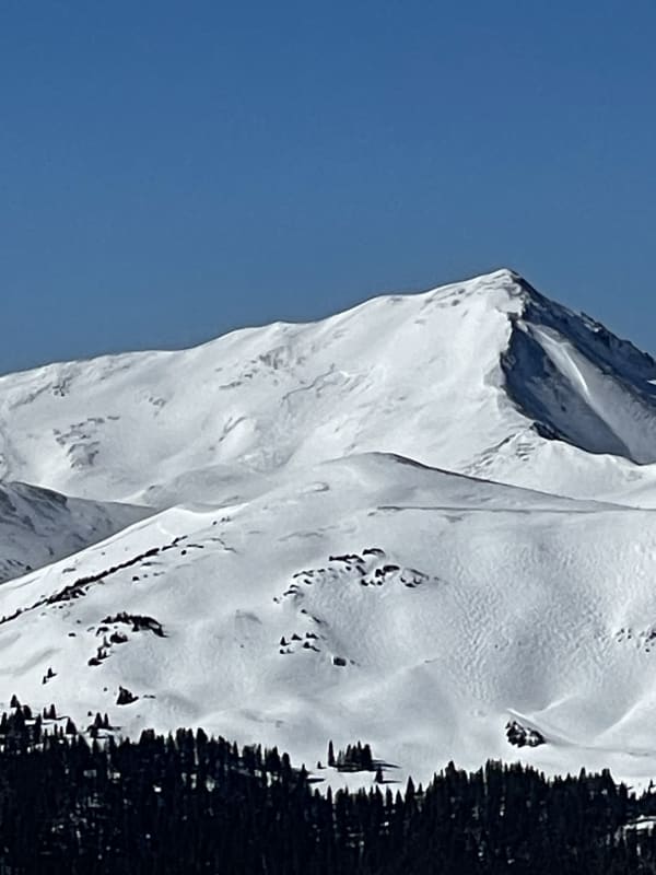Observation photo 1