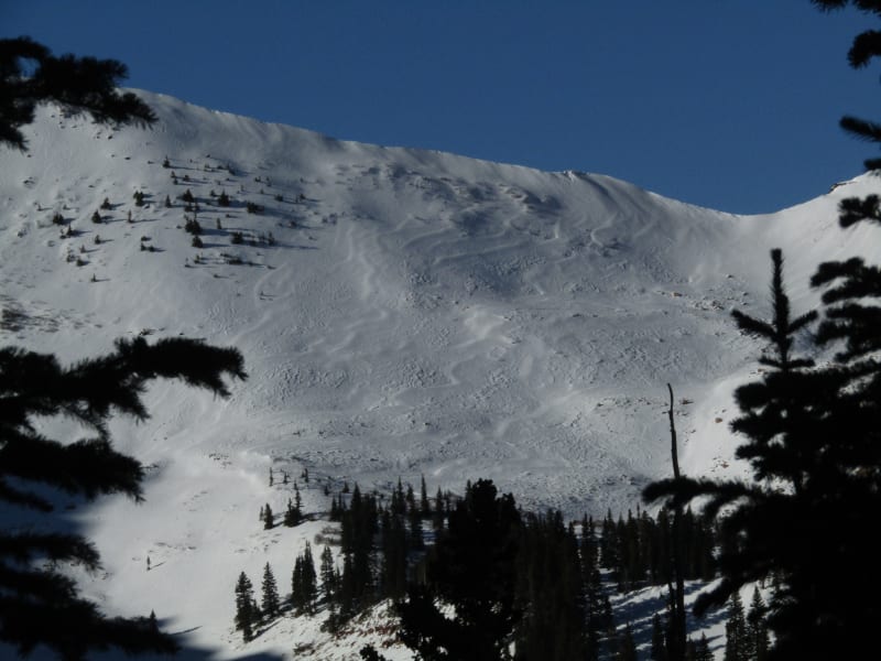 Observation photo 3