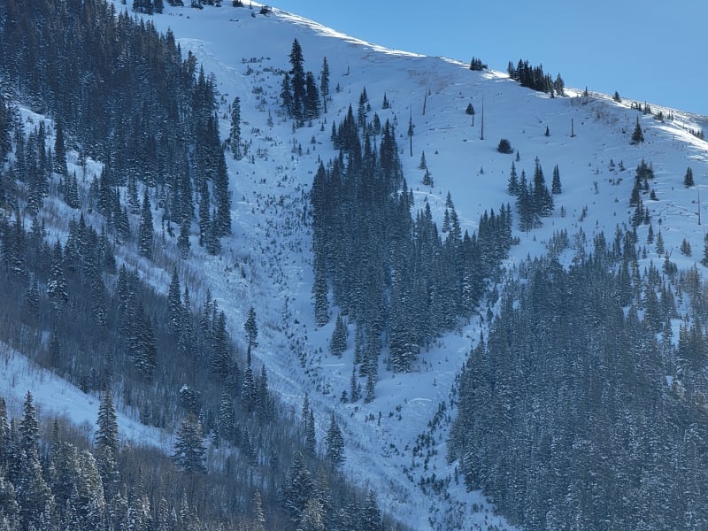 Observation photo 2