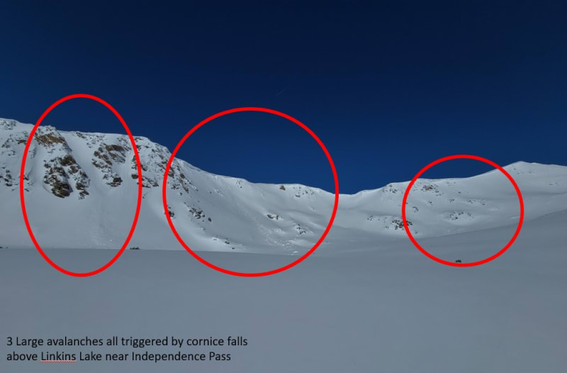 Observation photo 12