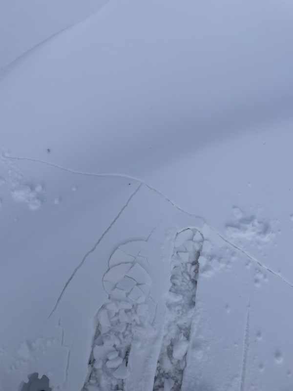 Observation photo 2