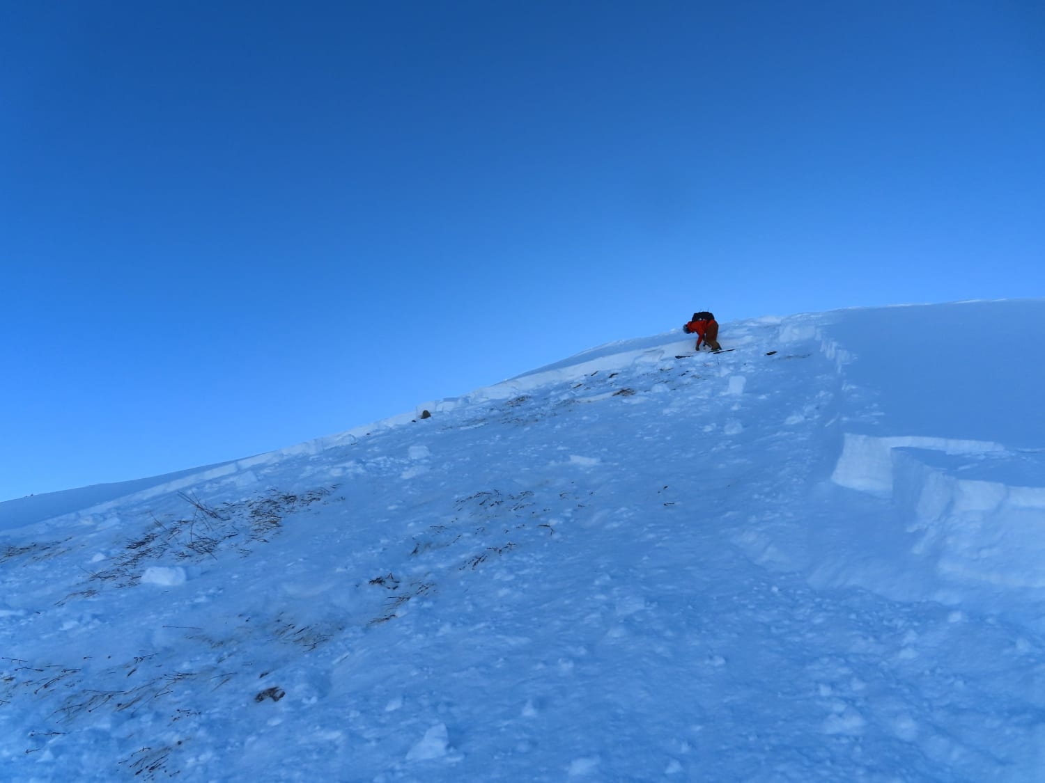 Observation photo