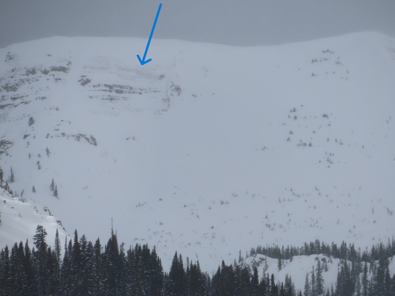 Observation photo 4