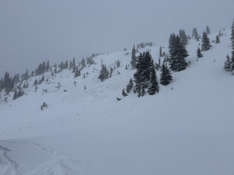 Observation photo 1