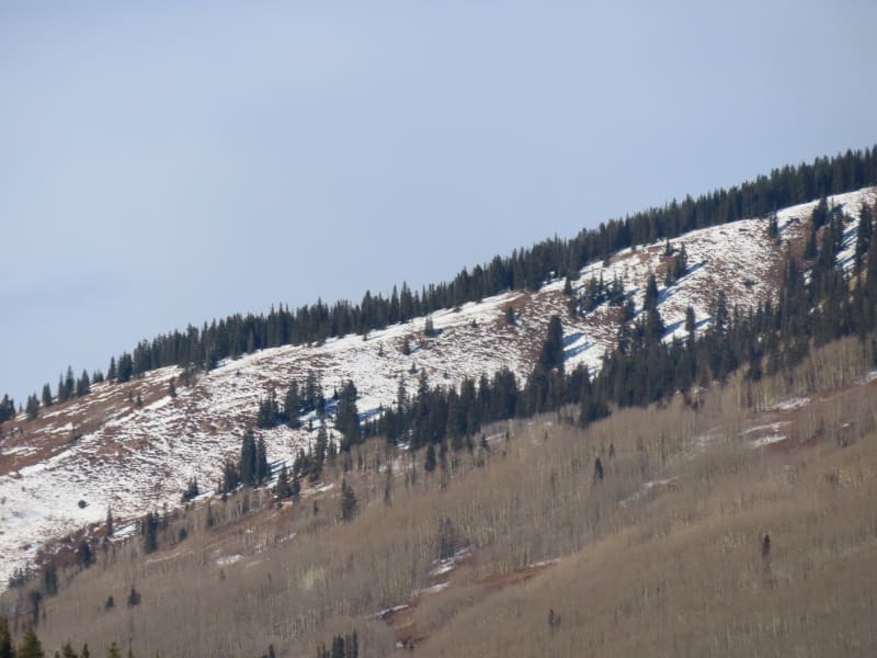 Observation photo 14