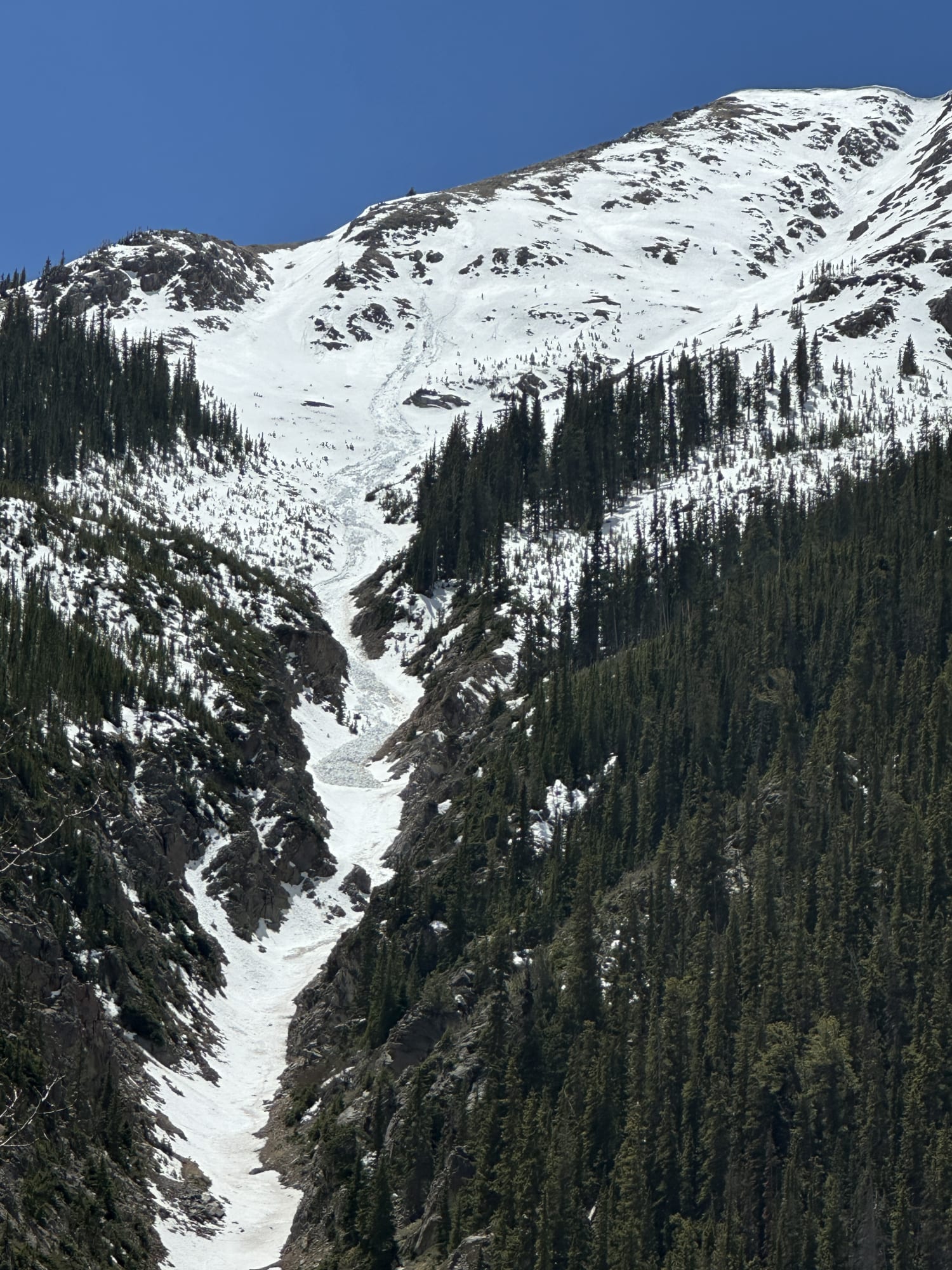 Observation photo
