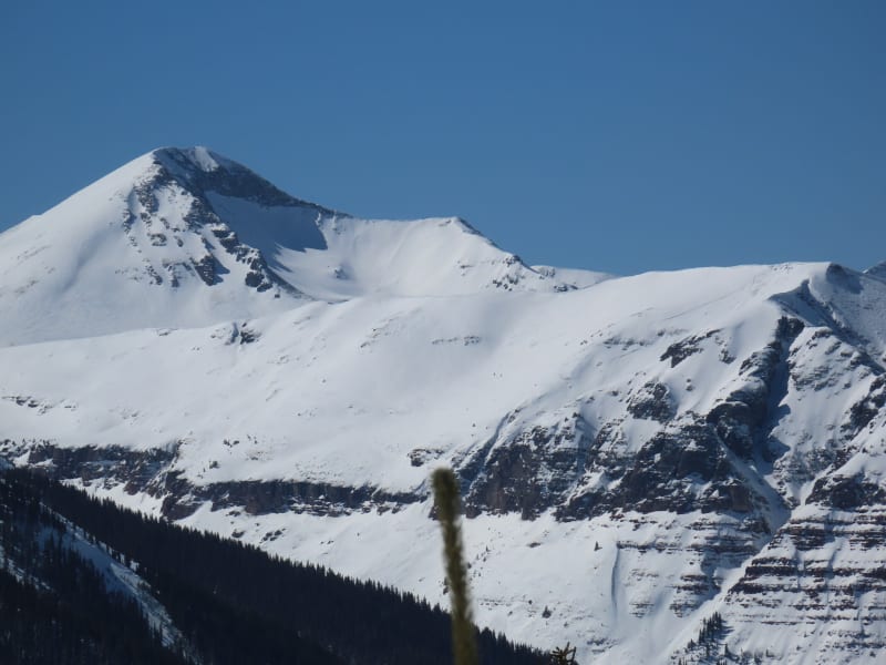 Observation photo 2