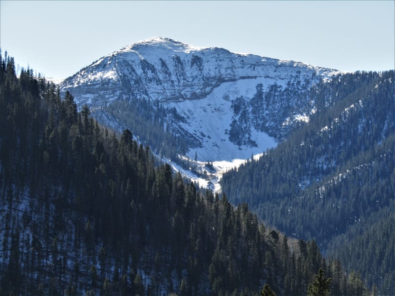 Observation photo 1