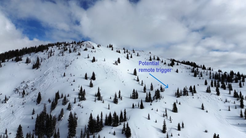 Observation photo 4