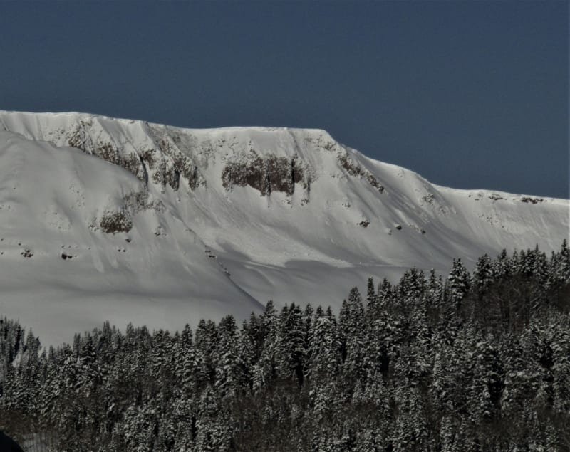Observation photo 1