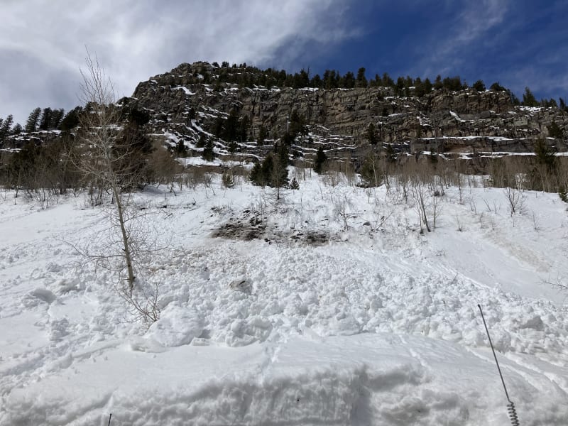 Observation photo 1