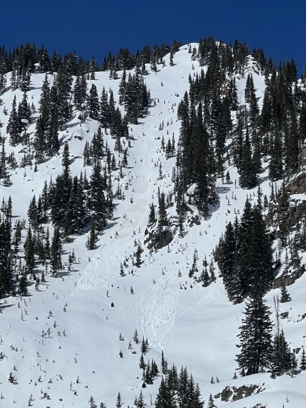 Observation photo 1