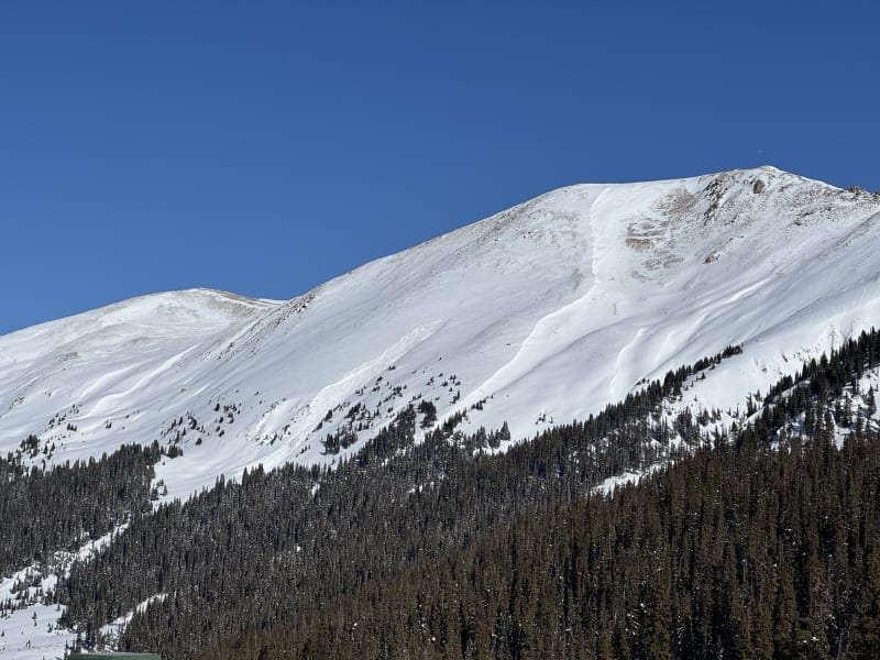 Observation photo 1