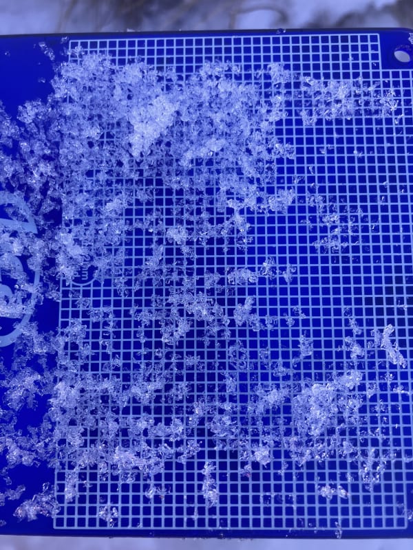 Observation photo 3