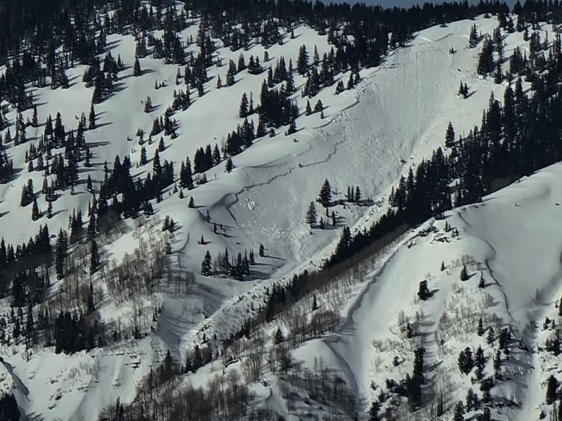 Observation photo 1