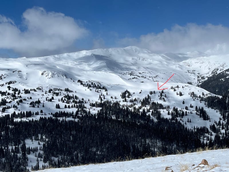Observation photo 1