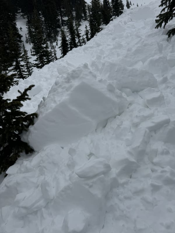 Observation photo 5
