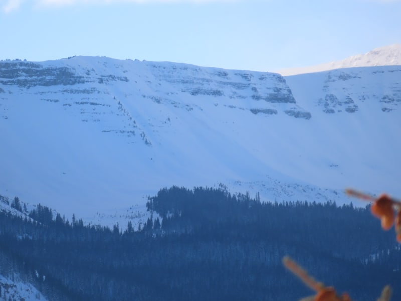 Observation photo 3