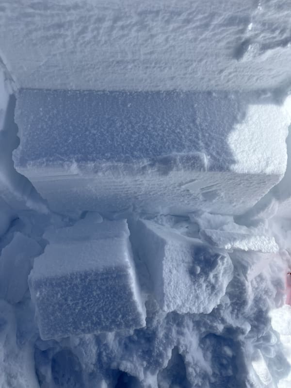 Observation photo 2