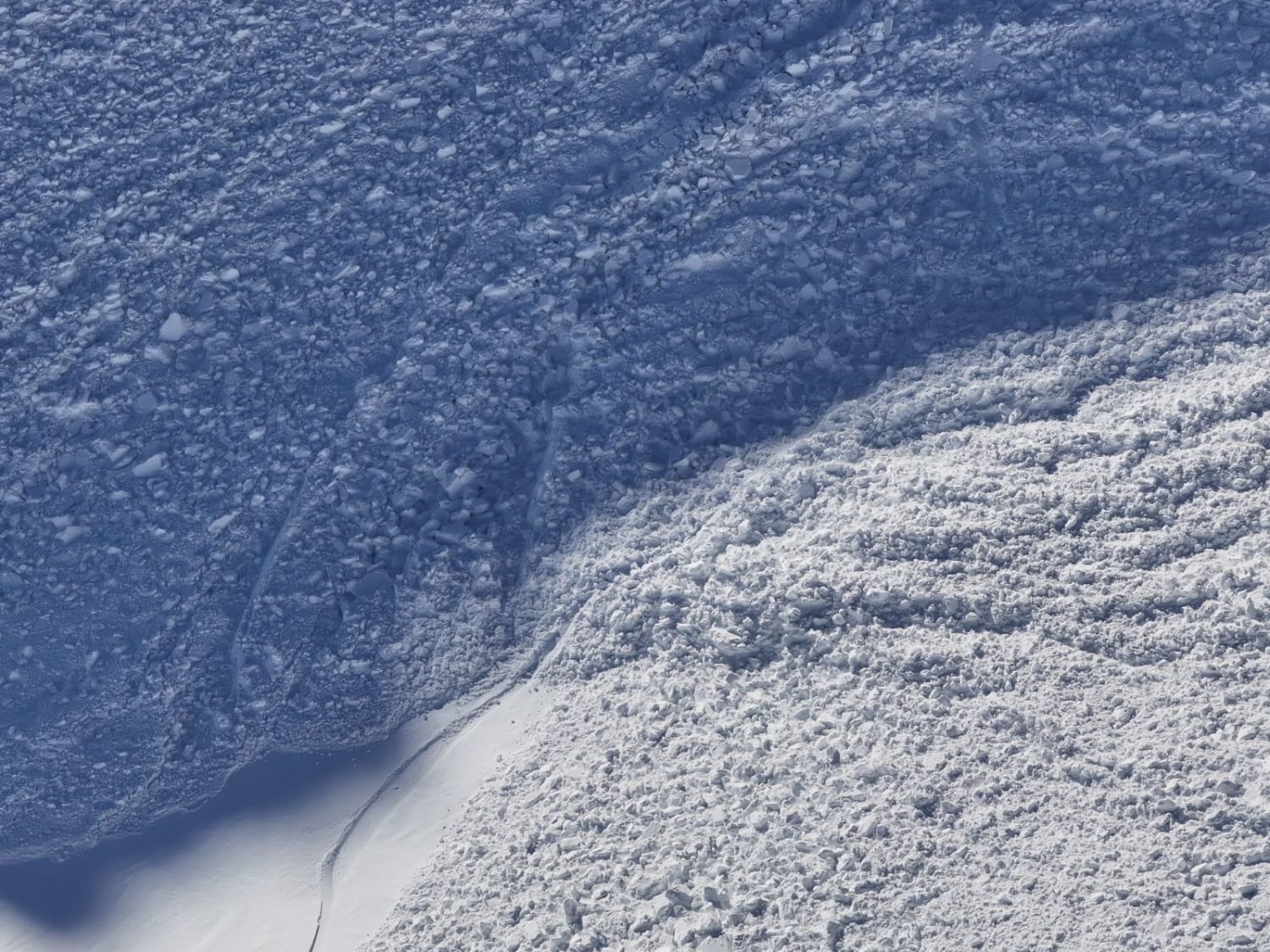 Observation photo