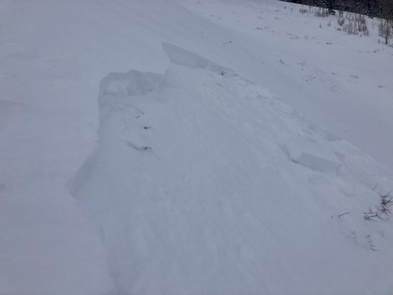 Observation photo 3