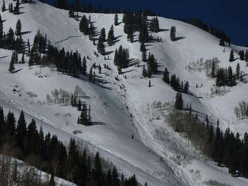 Observation photo 2