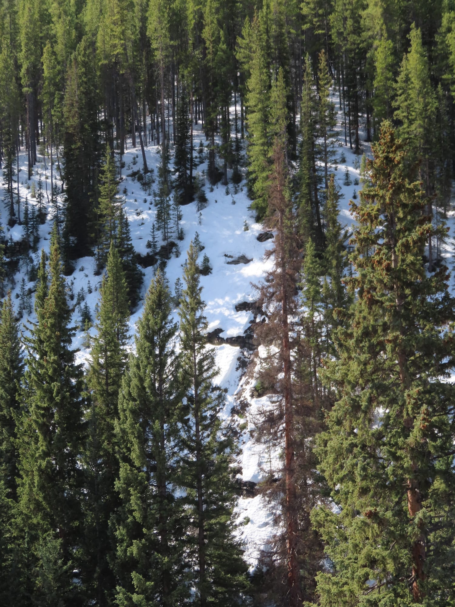 Observation photo