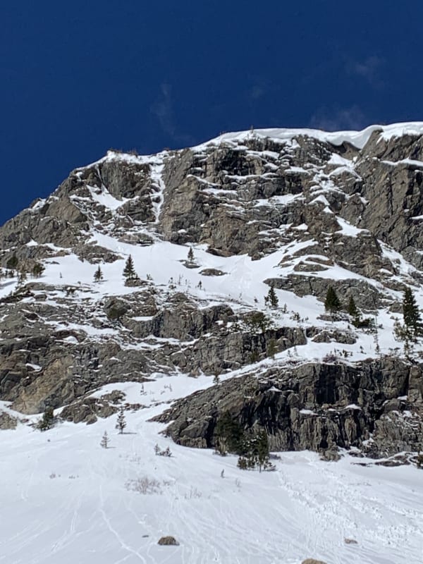 Observation photo 3