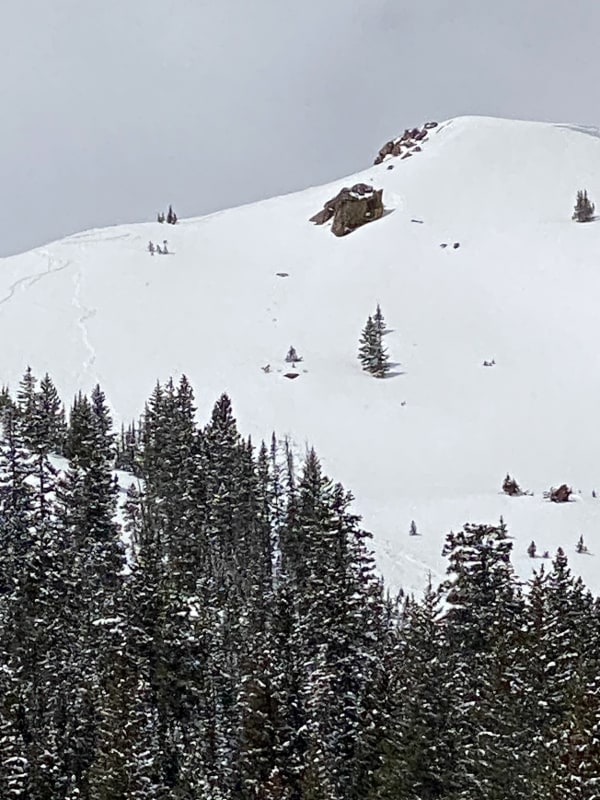 Observation photo 1