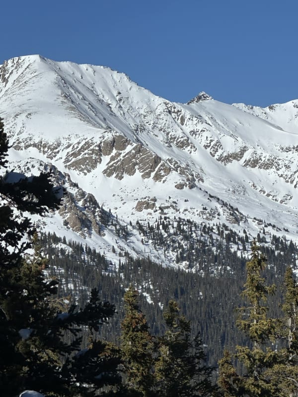 Observation photo 3