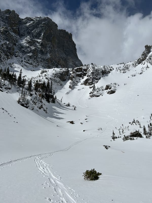 Observation photo 1