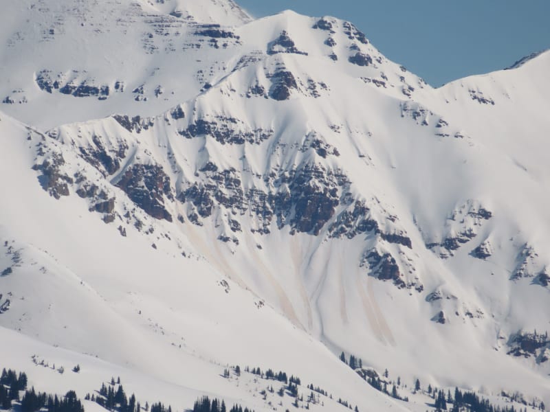 Observation photo 7