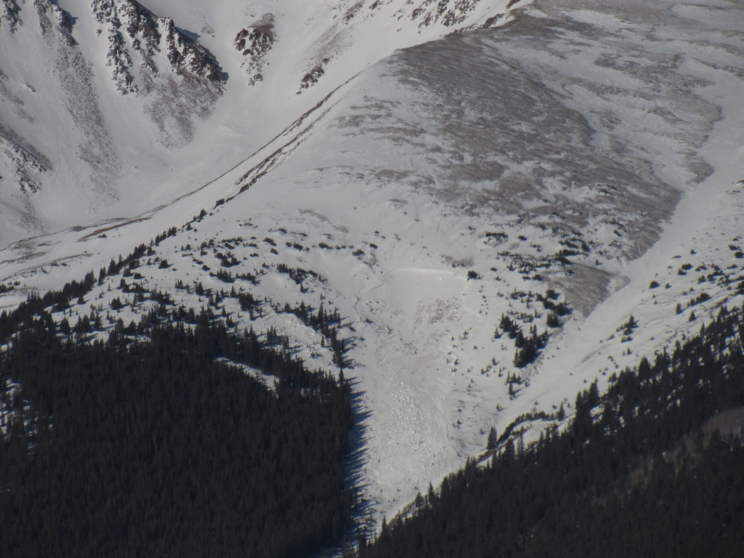 Observation photo