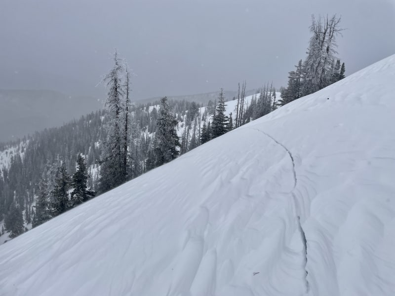 Observation photo 3