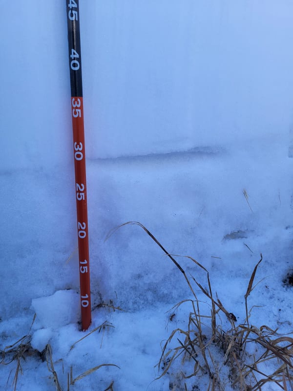 Observation photo 2