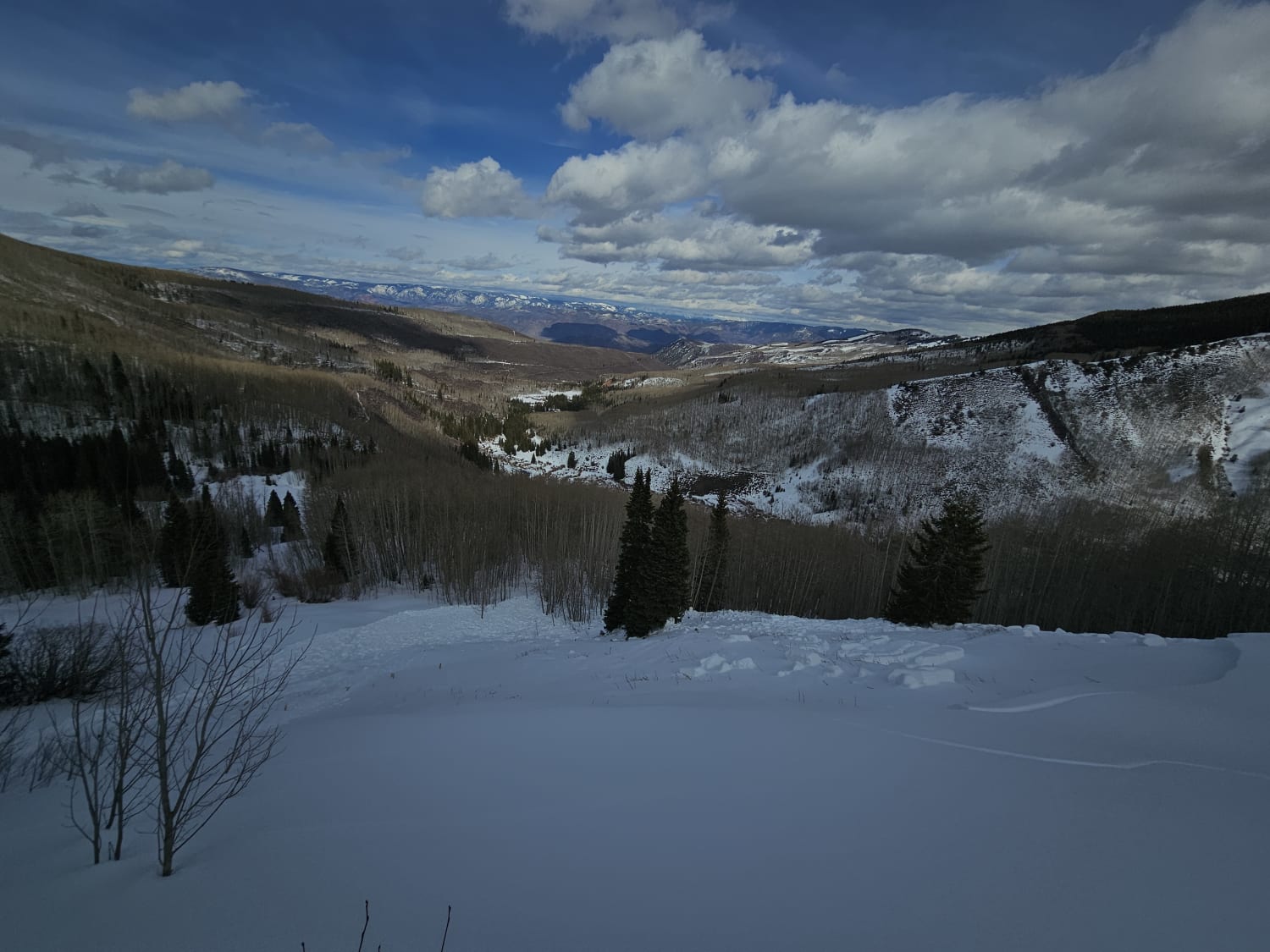 Observation photo