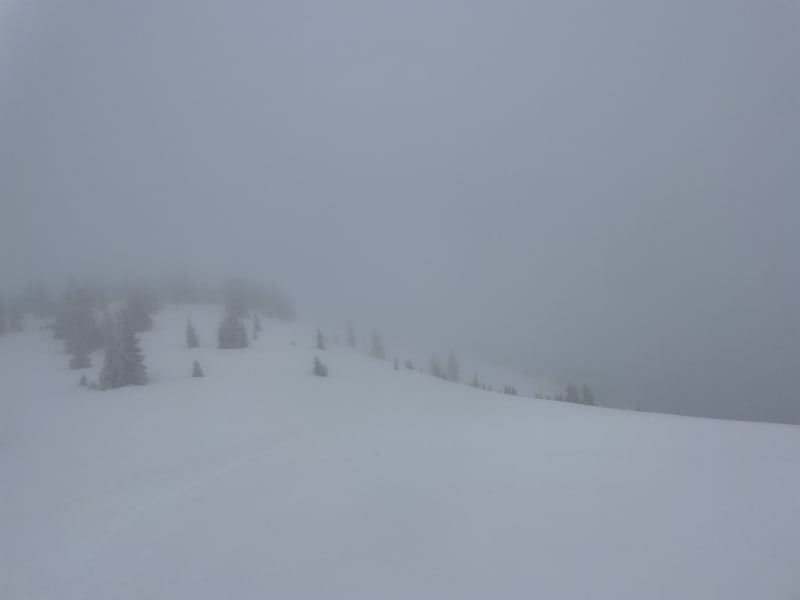 Observation photo 2