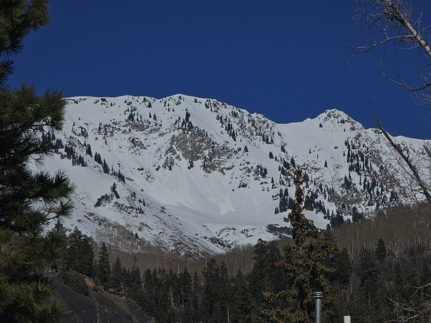 Observation photo