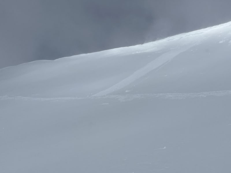 Observation photo 2