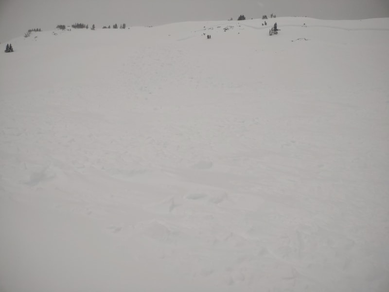 Observation photo 1