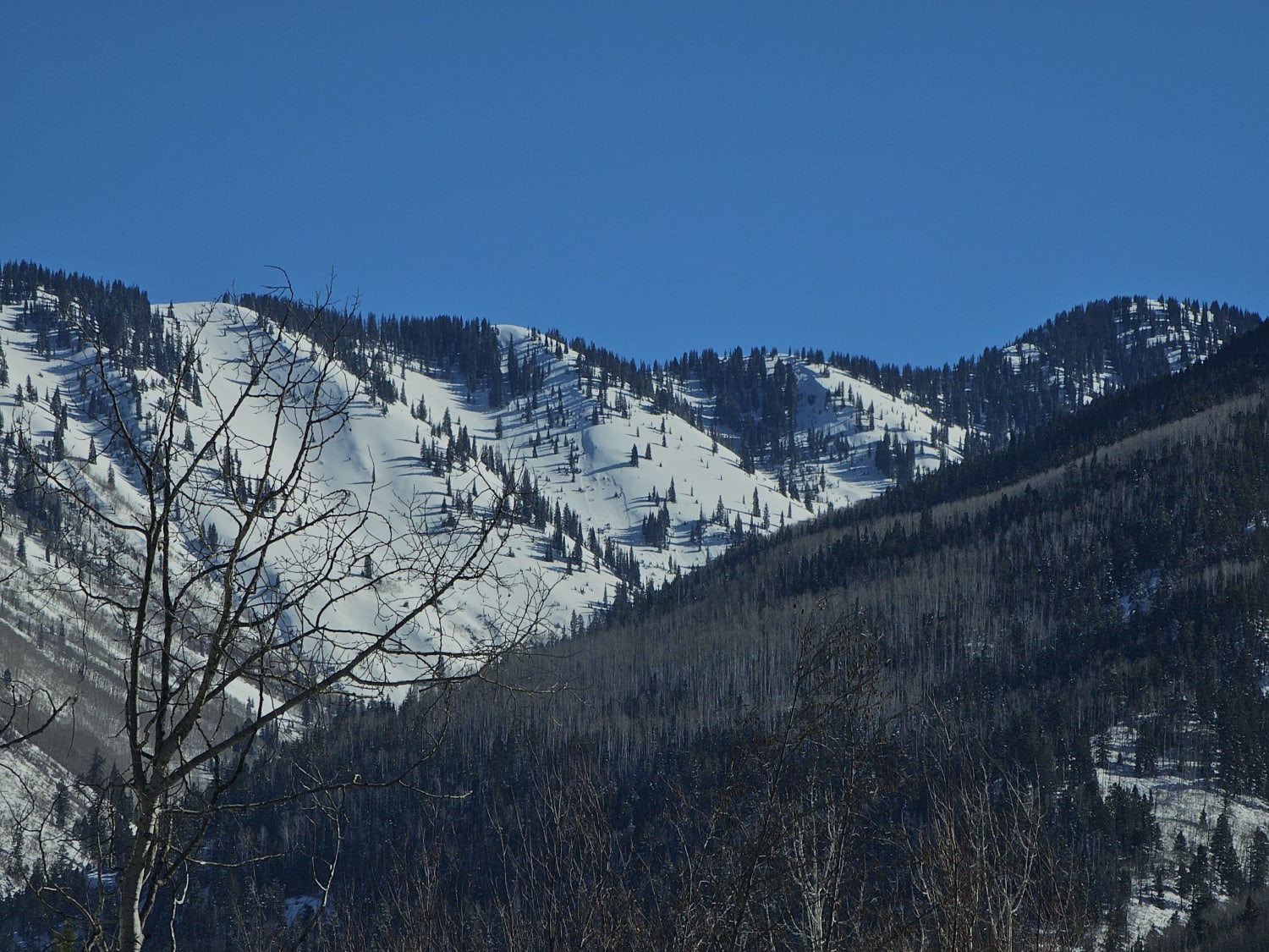 Observation photo