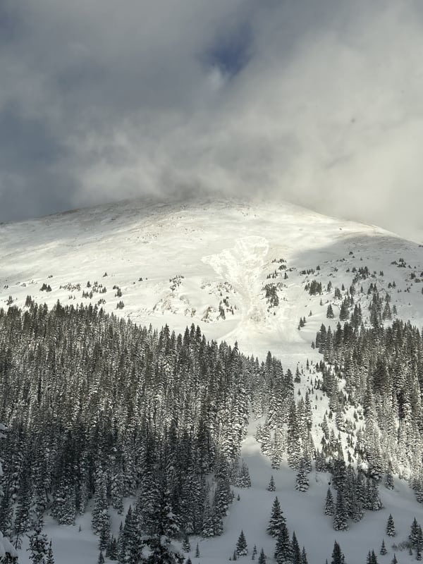 Observation photo 2