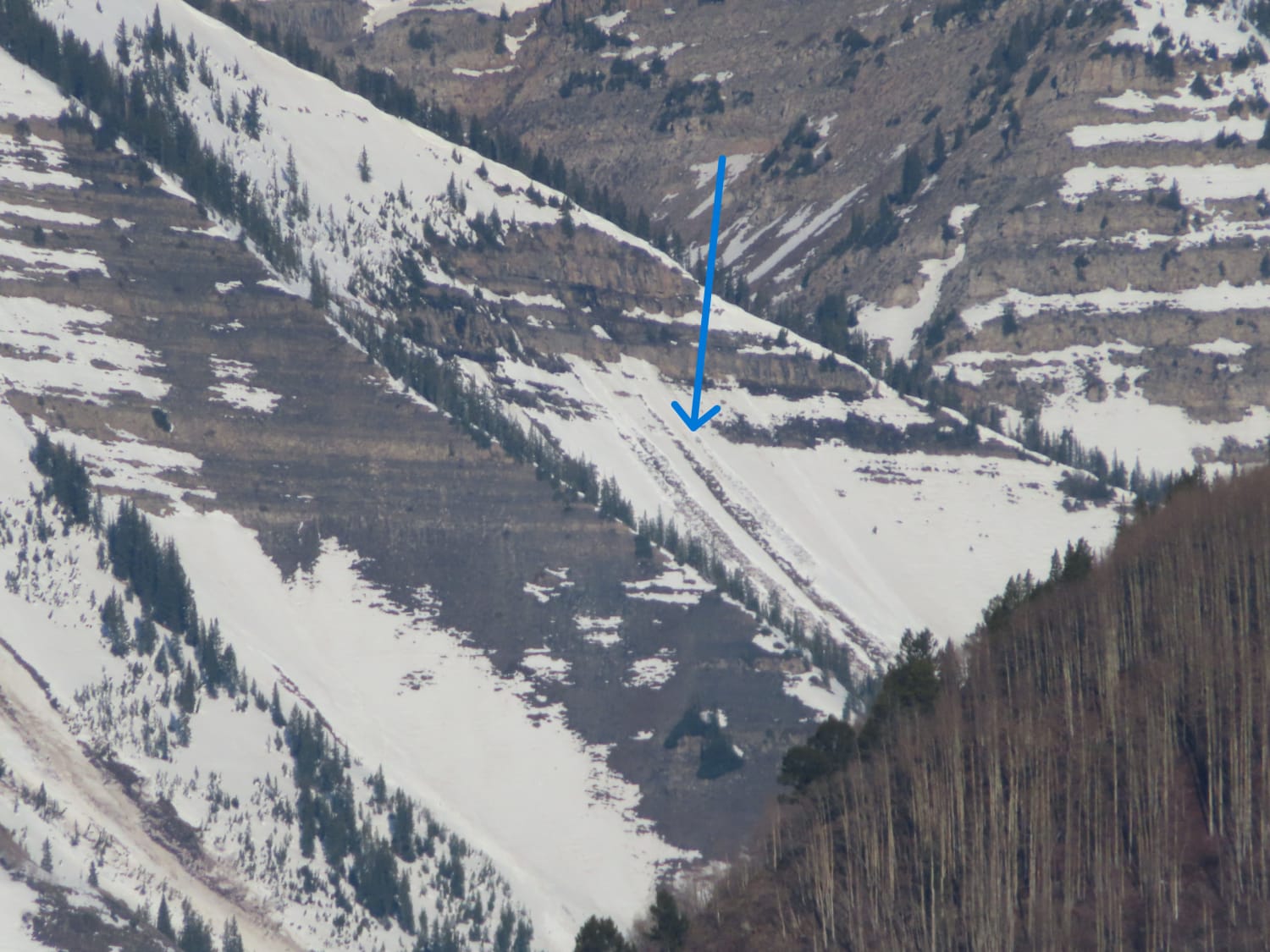 Observation photo