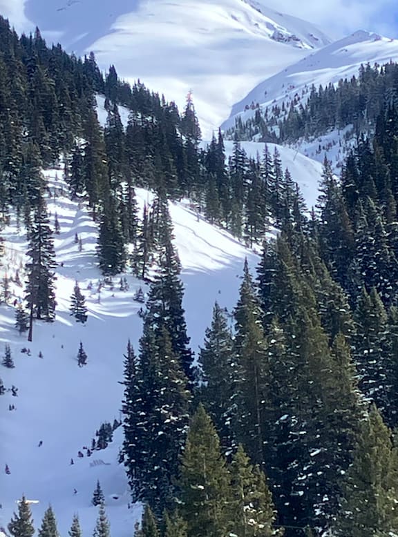 Observation photo 1