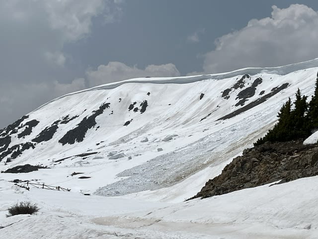 Observation photo 1