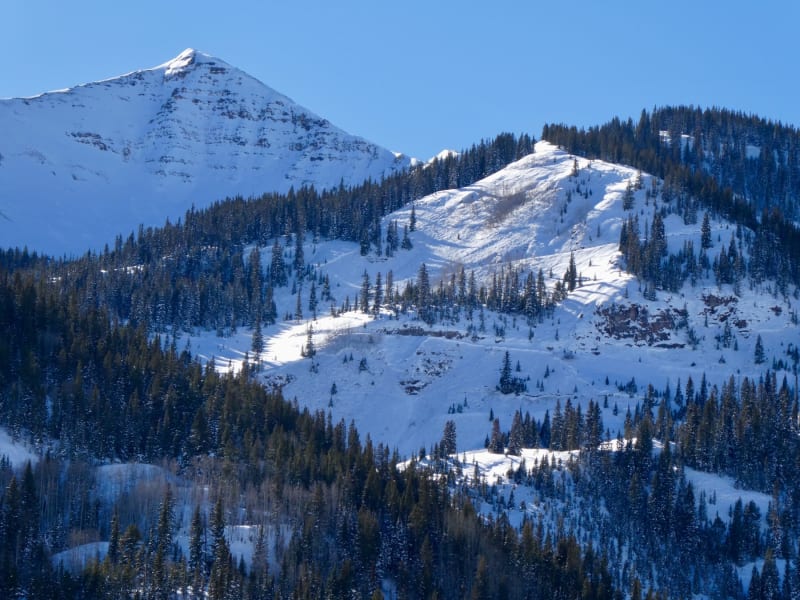 Observation photo 1