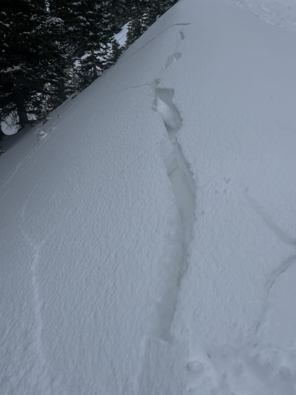 Observation photo 1