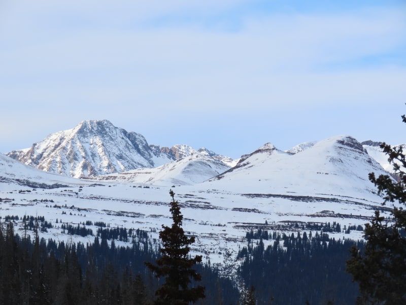 Observation photo 3