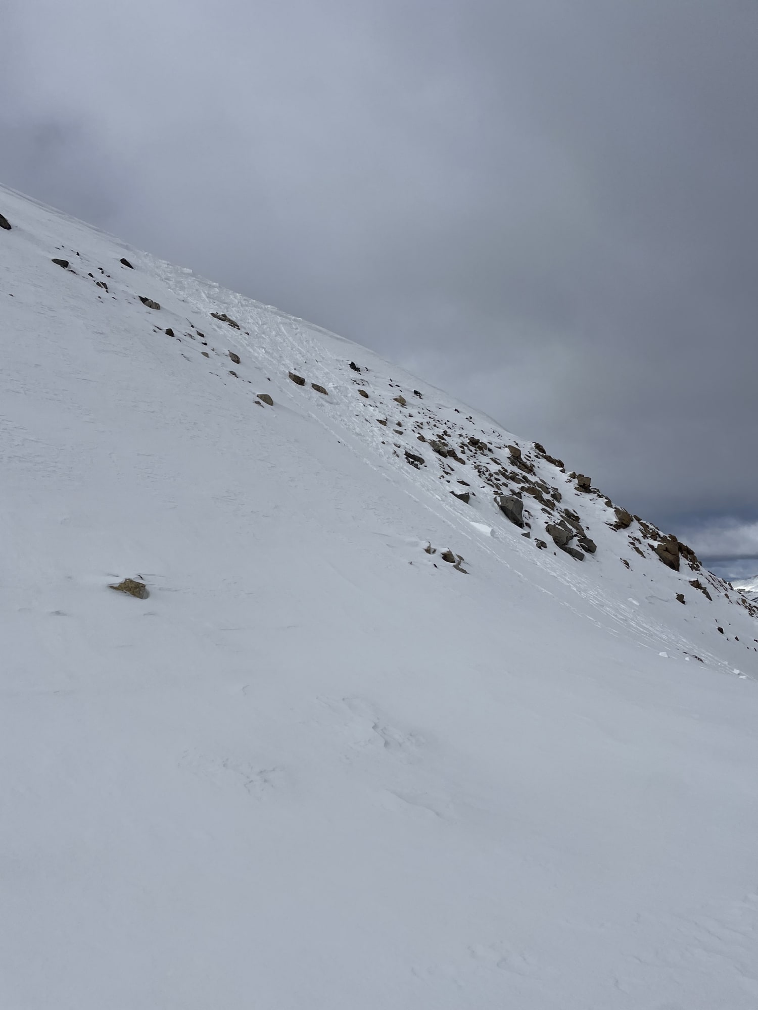 Observation photo
