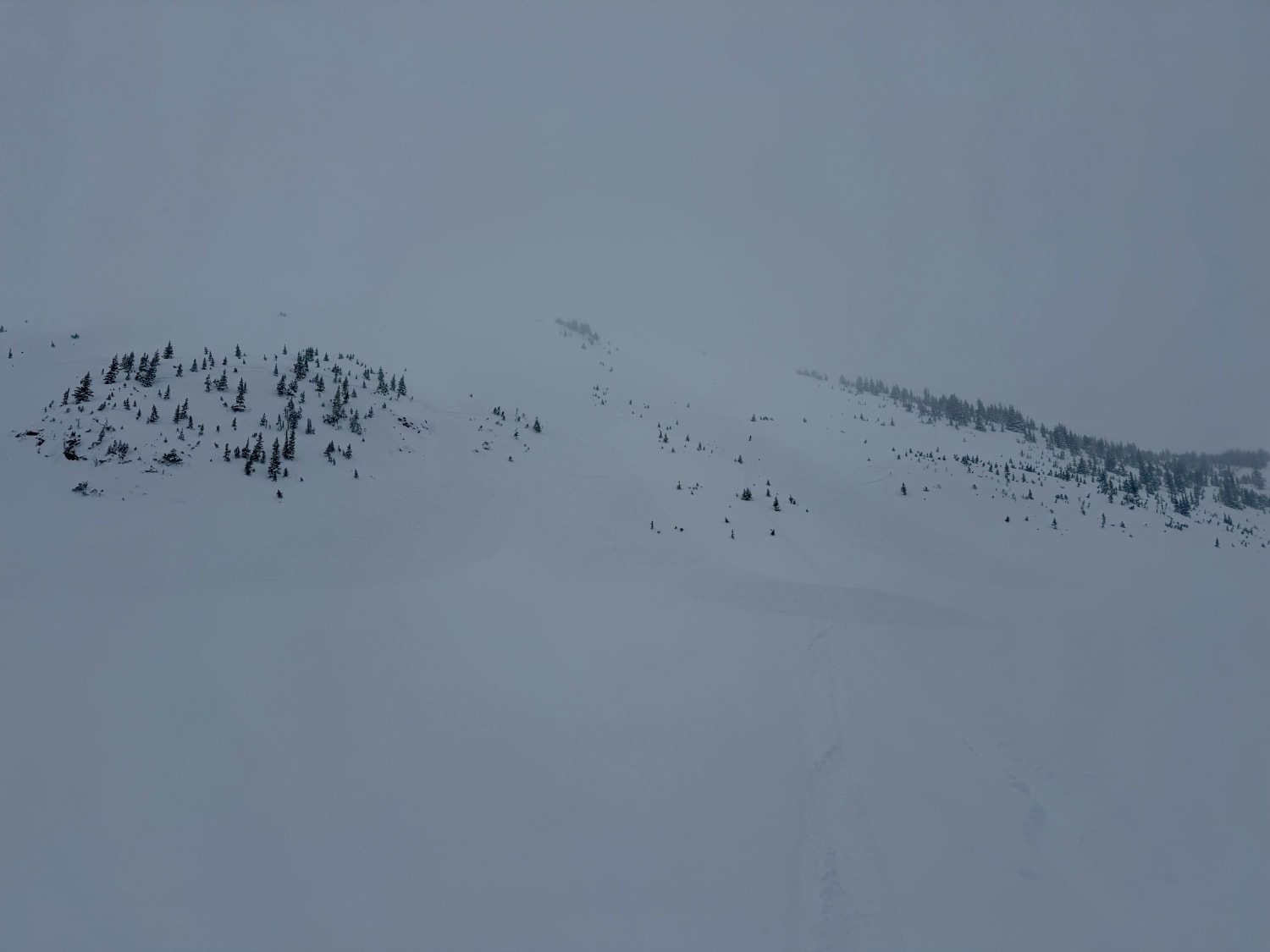 Observation photo